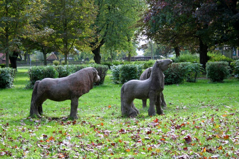 Killikus® Fotographie Killikus® Fotographie